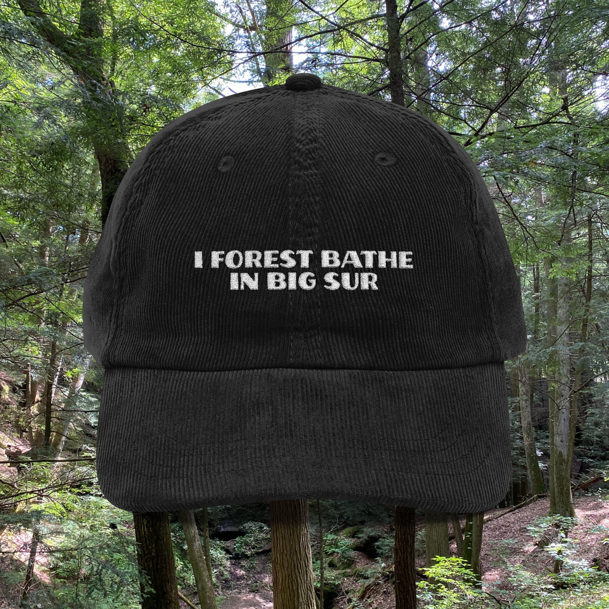 Big Sur | Corduroy Embroidered Hat | "I Forest Bathe in Big Sur"