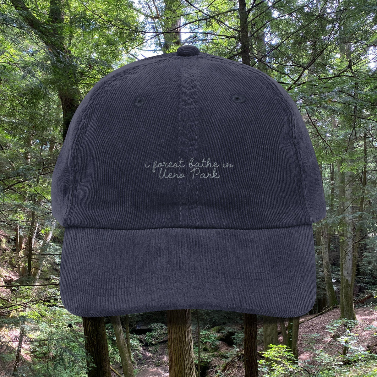 Ueno Park, Tokyo, Japan  | Forest Bathing | Corduroy Hat