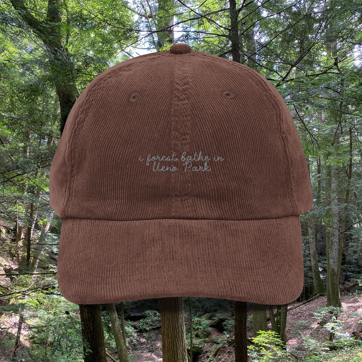 Ueno Park, Tokyo, Japan  | Forest Bathing | Corduroy Hat